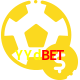 Aposte em esportes do mundo todo no YYdbet!